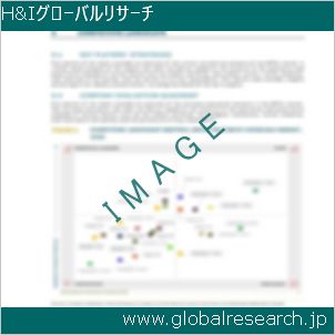 グローバルリサーチ調査レポートのイメージ